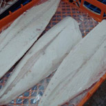 Oilfish fillets