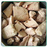 Tuna Tongol in brine